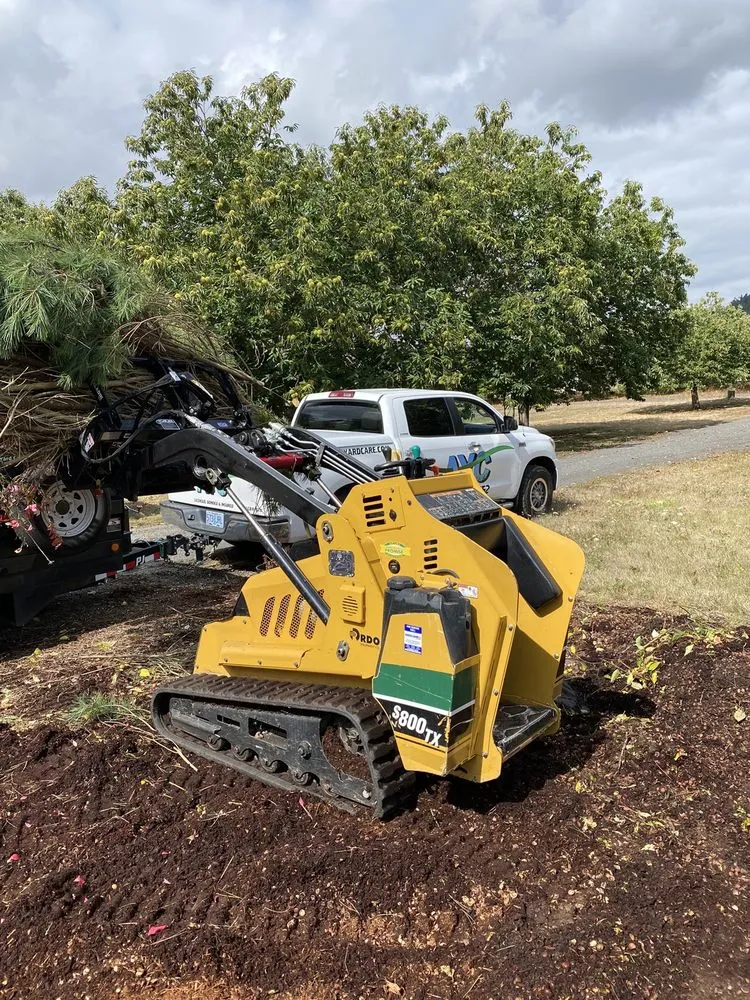 Professional garden landscaping experts serving Lebanon, OR - Affordable Yard Care