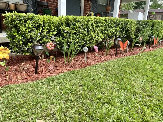 Affordable Yard Maintenance Logo