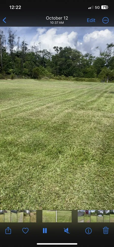 Professional lawn care service experts serving Keaau, HI - Affordable Yard Maintenance Service