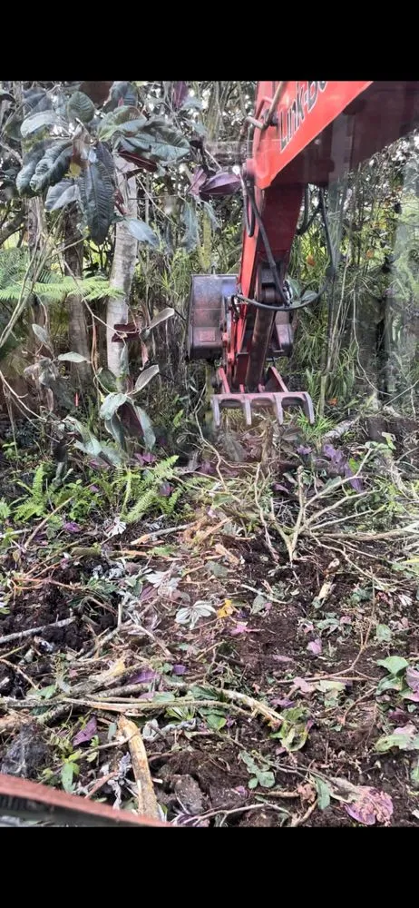 Custom lawn care service experts serving Keaau, HI - Affordable Yard Maintenance Service