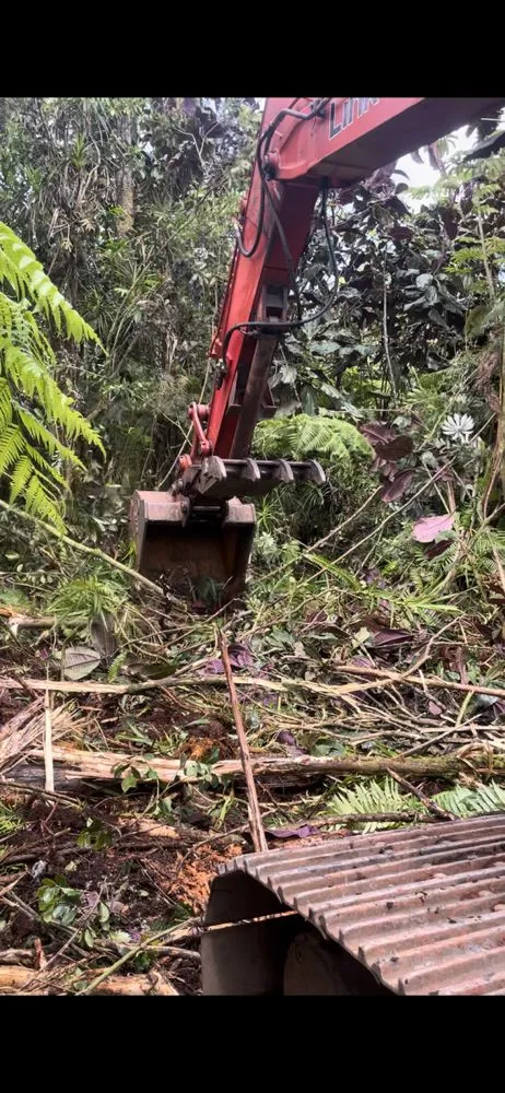 Professional yard maintenance for residential properties across Keaau, HI - Affordable Yard Maintenance Service