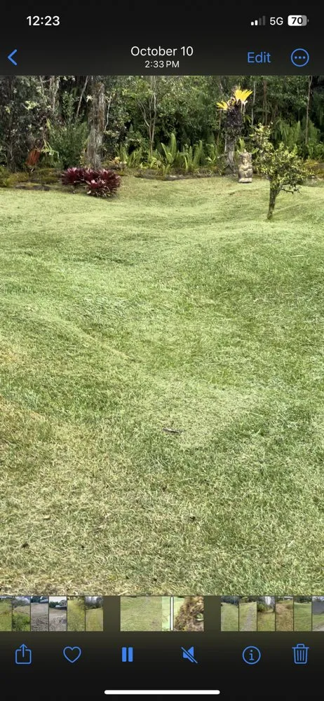 Professional landscape installation in Keaau, HI - Affordable Yard Maintenance Service