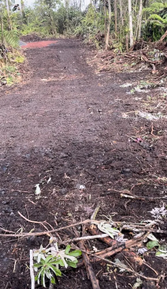 Top-rated landscape design with custom design across Keaau, HI - Affordable Yard Maintenance Service