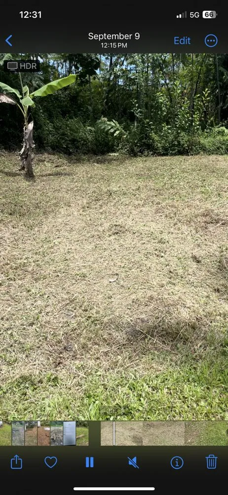 Trusted lawn care service experts serving Keaau, HI - Affordable Yard Maintenance Service