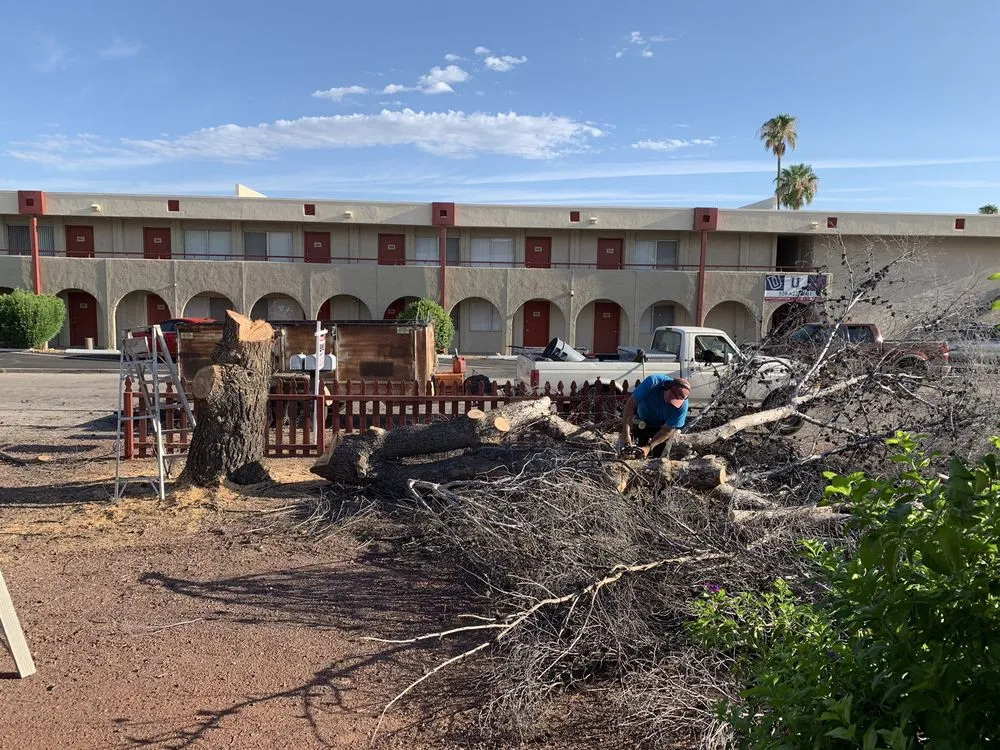 Trusted yard cleanup service in Tucson, AZ - Affordable Yard Service