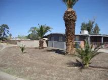 Custom garden landscaping experts serving Tucson, AZ - Affordable Yard Service