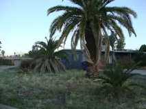 Expert residential landscaping in Tucson, AZ - Affordable Yard Service