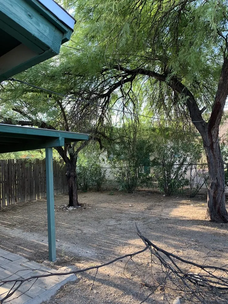 Local yard cleanup service experts serving Tucson, AZ - Affordable Yard Service