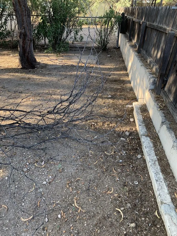 Trusted garden landscaping for residential properties across Tucson, AZ - Affordable Yard Service