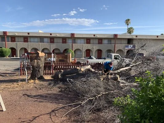 Affordable Yard Service Logo