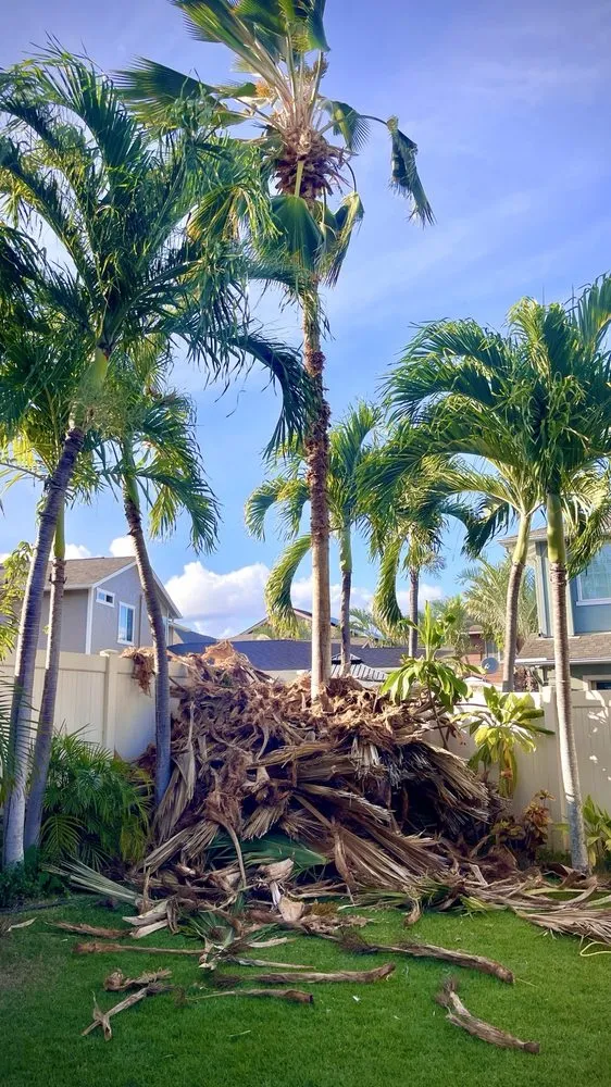 Trusted landscape design in Oahu, HI - Affordable Yard Services