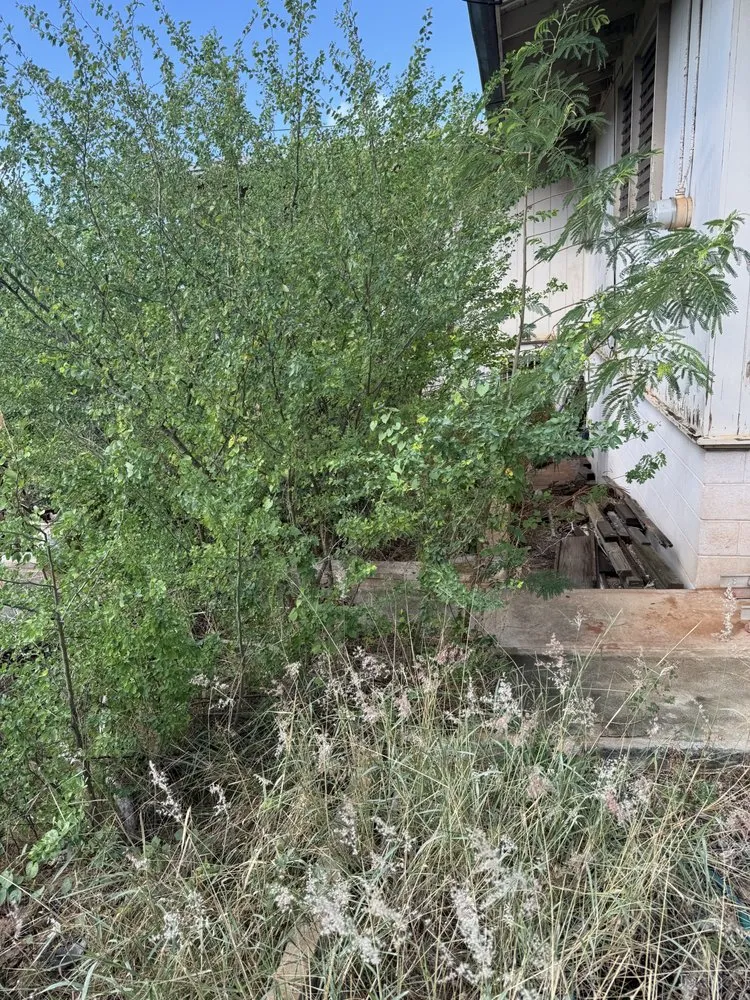 Affordable yard maintenance in Oahu, HI by Affordable Yard Services