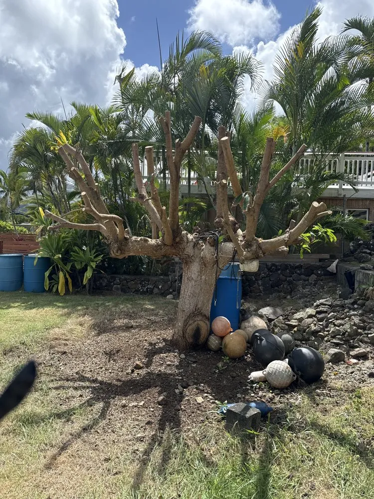 Trusted outdoor landscaping in Oahu, HI - Affordable Yard Services