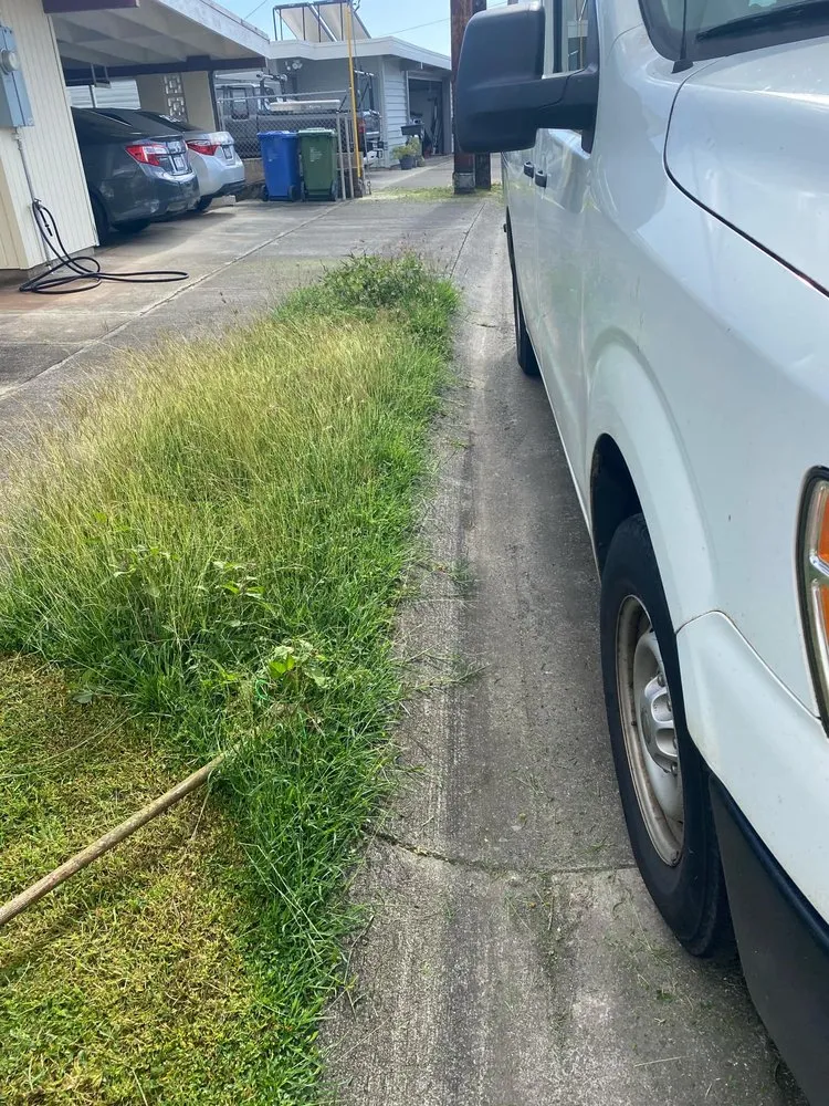 Professional residential landscaping in Oahu, HI - Affordable Yard Services