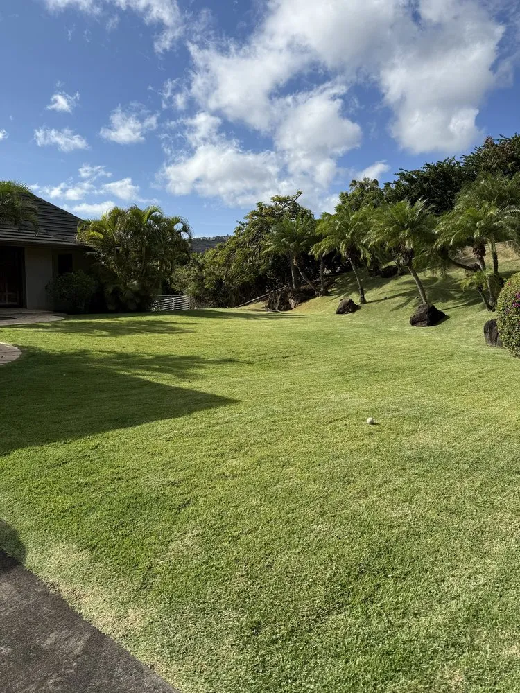 Expert yard cleanup service for outdoor upgrades in Oahu, HI by Affordable Yard Services