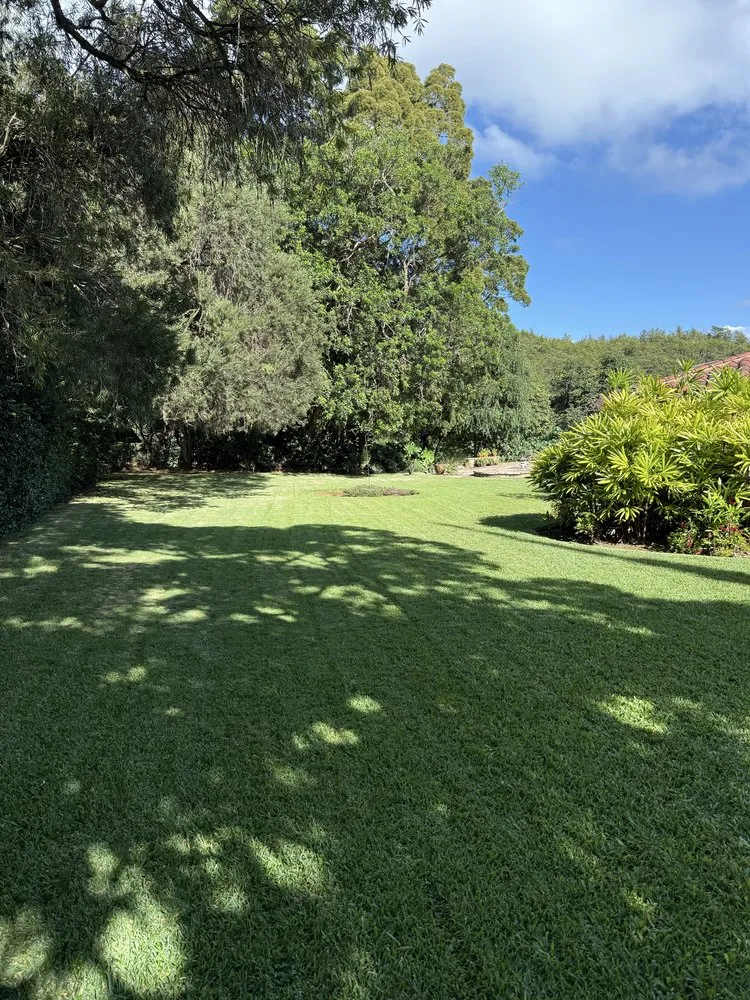 Local yard cleanup service in Oahu, HI by Affordable Yard Services