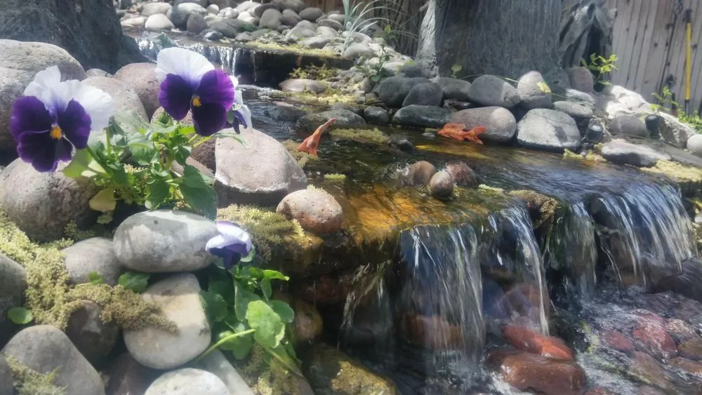 Local landscaping services in Las Cruces, NM by Afishole