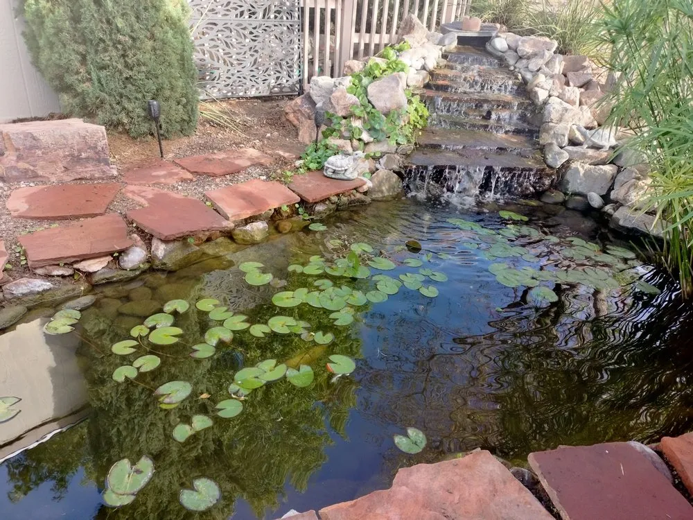 Affordable landscape design in Las Cruces, NM by Afishole