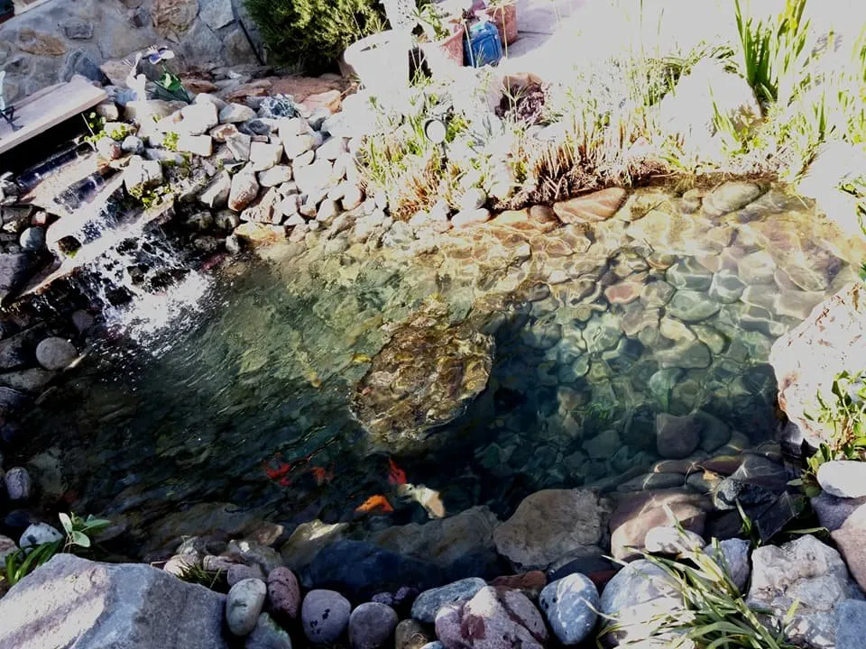 Trusted landscape installation in Las Cruces, NM - Afishole