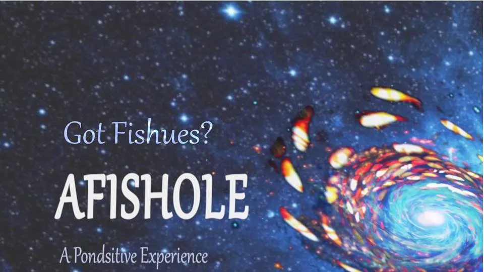 Professional landscape installation experts serving Las Cruces, NM - Afishole