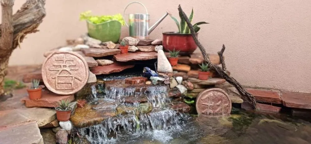 Custom yard maintenance in Las Cruces, NM by Afishole