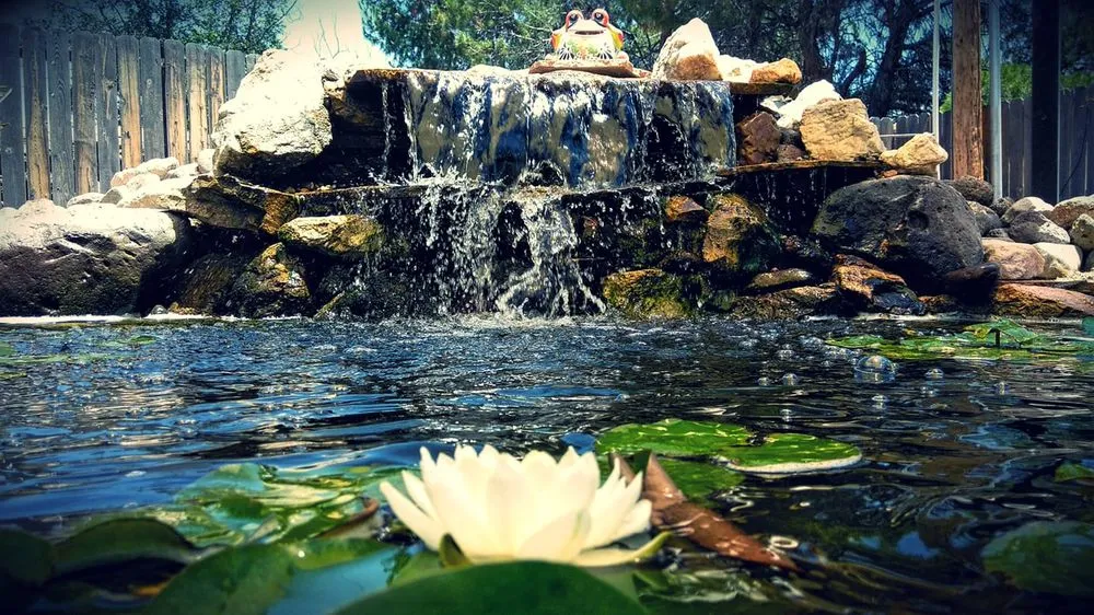 Custom landscape design in Las Cruces, NM by Afishole