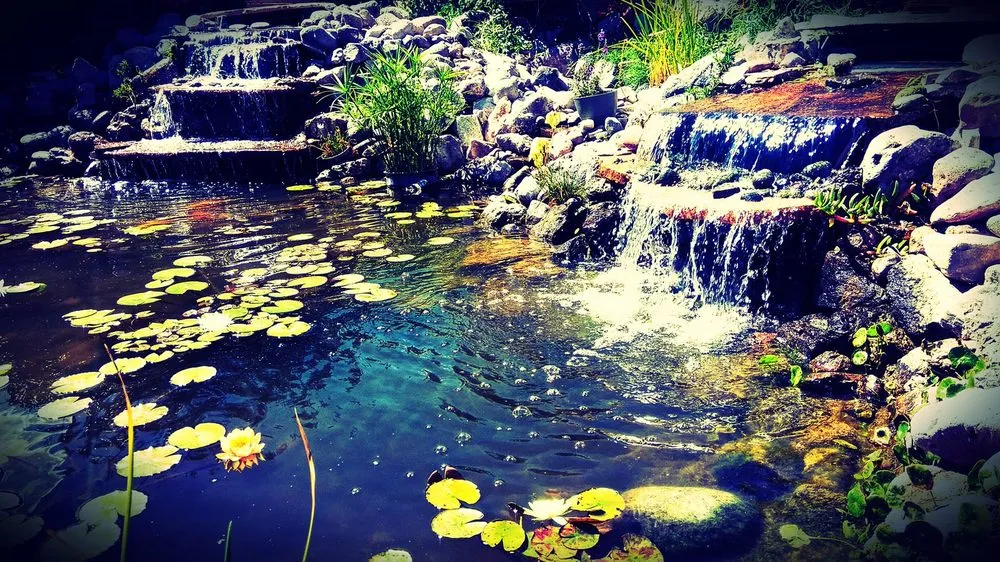 Custom yard maintenance in Las Cruces, NM - Afishole