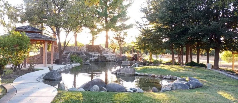 Expert yard maintenance experts serving Las Cruces, NM - Afishole