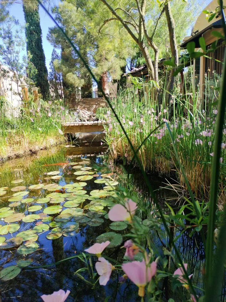 Professional garden landscaping for year-round maintenance across Las Cruces, NM - Afishole