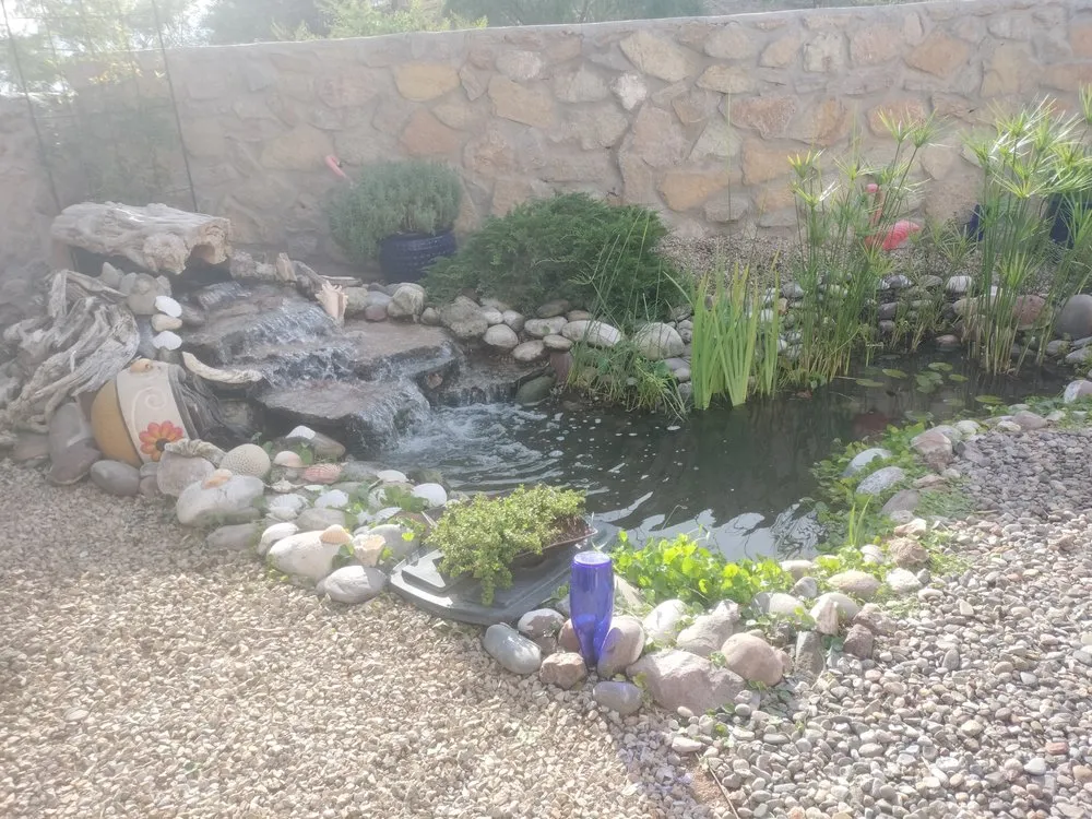 Custom residential landscaping for beautiful yards across Las Cruces, NM - Afishole