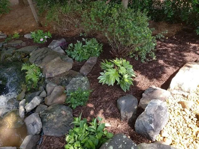 Local yard maintenance experts serving Marietta, GA - AFJ Landscaping