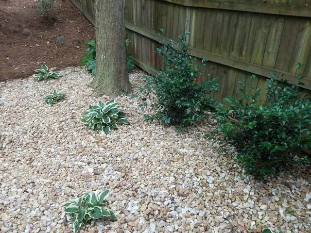 Professional residential landscaping in Marietta, GA by AFJ Landscaping