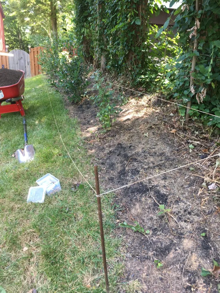 Expert lawn care service in Fredericksburg, VA by AFM Landscaping & Irrigation