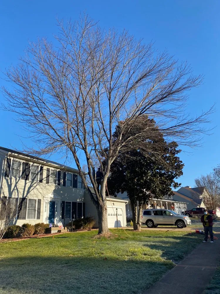 Top-rated garden landscaping experts serving Fredericksburg, VA - AFM Landscaping & Irrigation