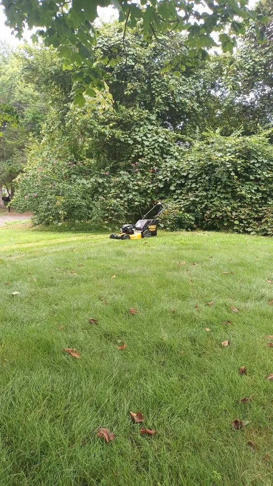 Local landscape design for beautiful yards in Stratford, CT by Afolayanka Enterprices