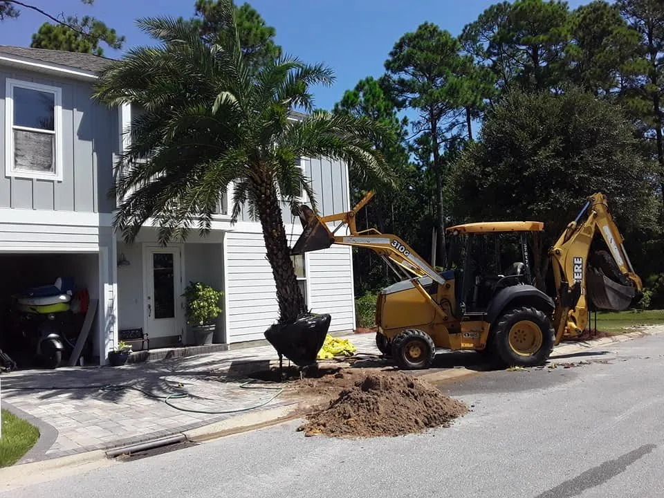 Trusted residential landscaping for homes in Panama City, FL by Afp Tree Services