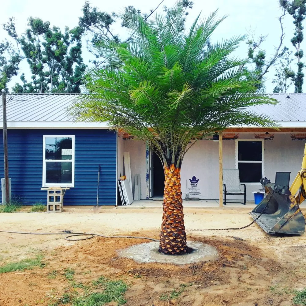 Affordable lawn mowing service in Panama City, FL - Afp Tree Services