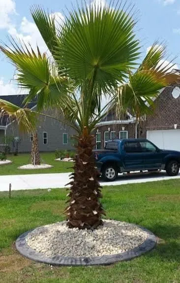 Trusted outdoor landscaping for residential properties across Panama City, FL - Afp Tree Services