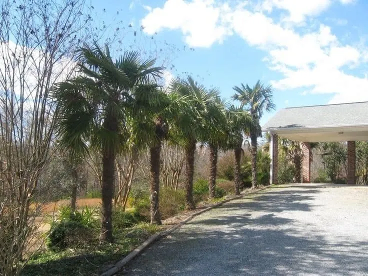 Trusted landscape design with custom design in Panama City, FL by Afp Tree Services