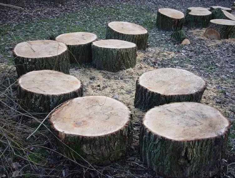 Reliable lawn care service in Panama City, FL - Afp Tree Services