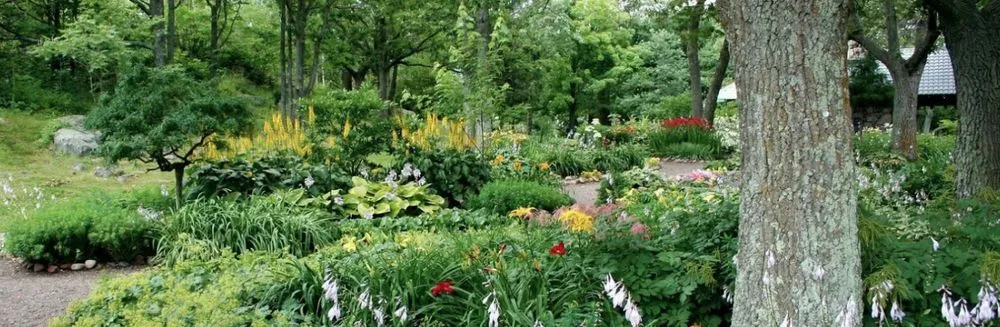 Affordable garden landscaping for outdoor upgrades in Panama City, FL by Afp Tree Services