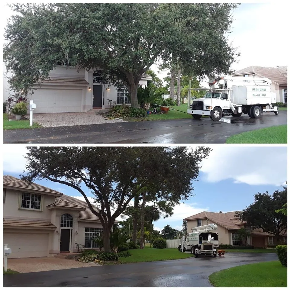 Custom landscape installation in Panama City, FL - Afp Tree Services