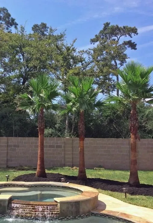 Professional residential landscaping for homes across Panama City, FL - Afp Tree Services