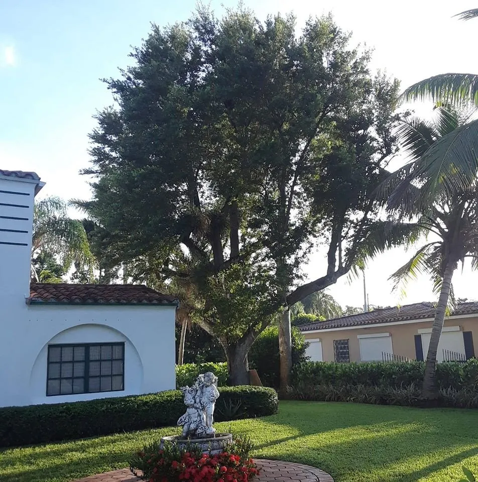 Expert landscape installation for year-round maintenance in Panama City, FL by Afp Tree Services