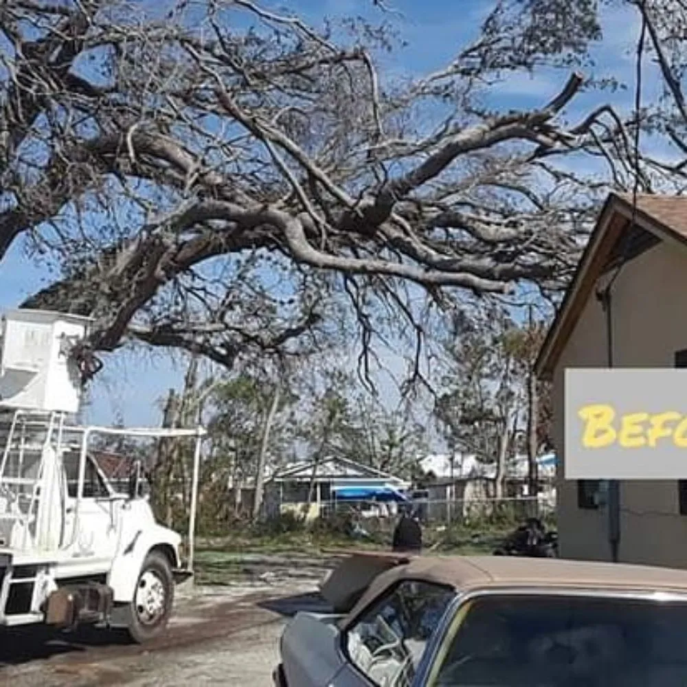 Professional residential landscaping in Panama City, FL - Afp Tree Services