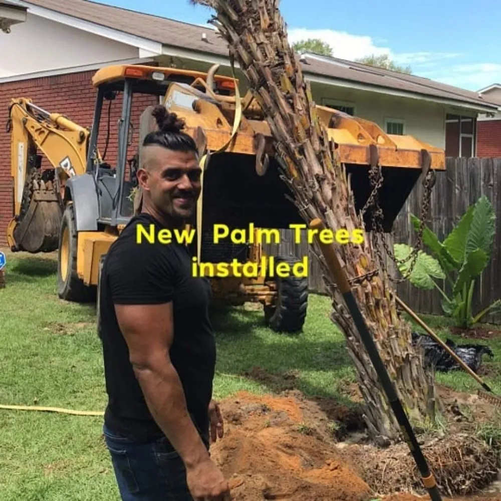 Local yard maintenance experts serving Panama City, FL - Afp Tree Services