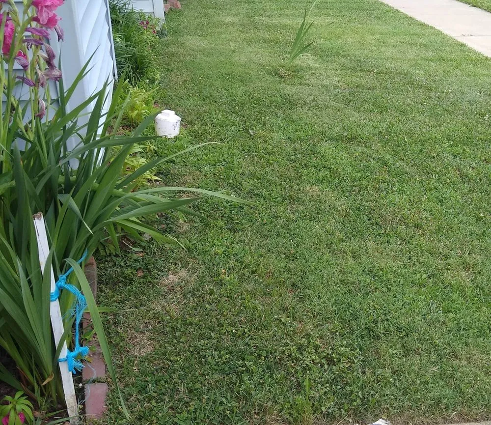 Local landscape installation experts serving Herndon, VA - Afredo's Lawn Care Services