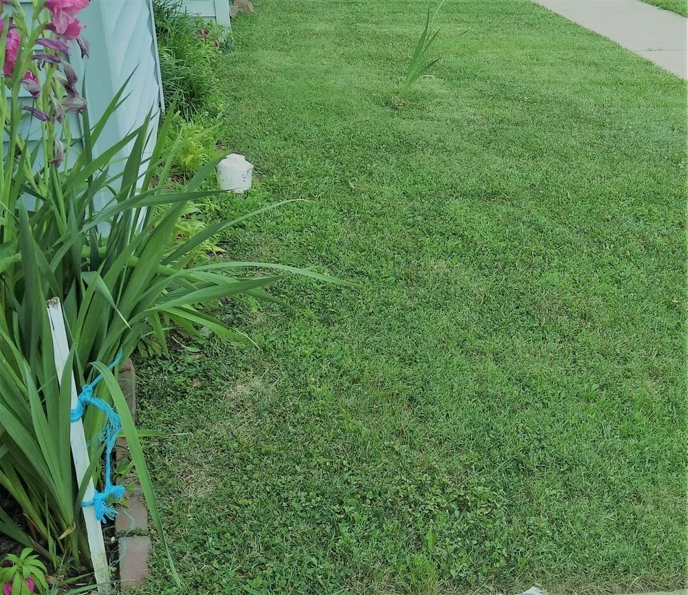 Professional lawn mowing service for homes across Herndon, VA - Afredo's Lawn Care Services