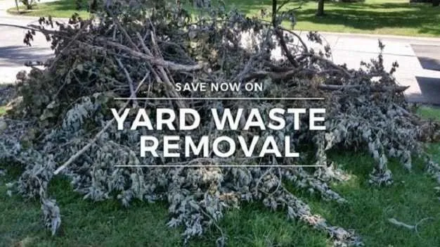 Expert yard maintenance for beautiful yards in paradise, CA by AFS Lawn Care & Landscape Pros