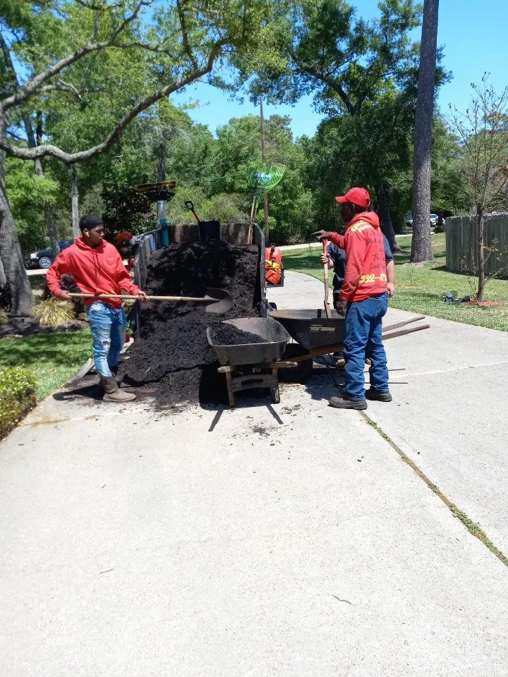 Local landscape design in Galena Park, TX by After Care Express SVC Landscaping & Maintenance